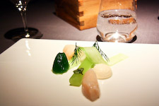 Scallop from Tromsö, oyster, geranium and cucumber