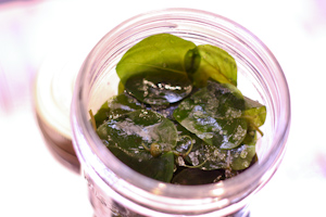 Pickled caper leaves