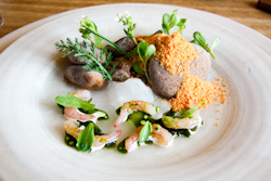 What is the New Nordic cuisine?